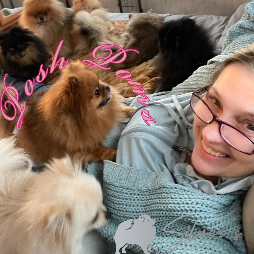 Meet The Posher! Make me an Offer! All Reasonable offers considered.